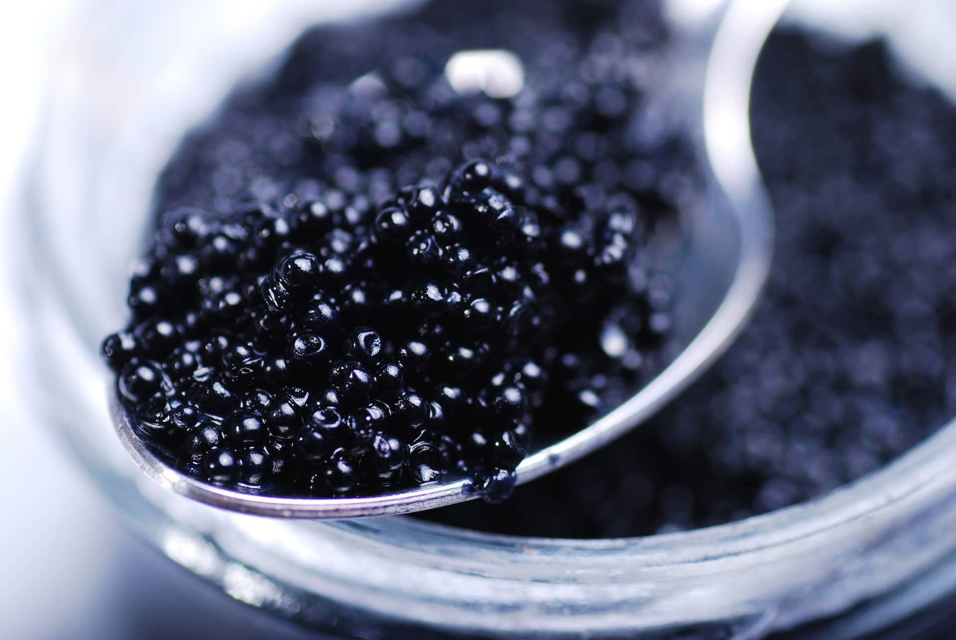 Caviar & Œufs de Poisson